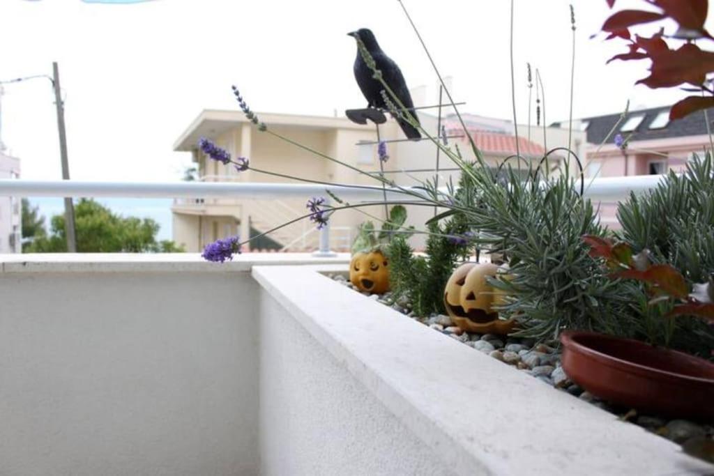 Maia'S Beach Studio Znjan Split Zewnętrze zdjęcie